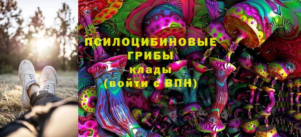 ПСИЛОЦИБИНОВЫЕ ГРИБЫ Алексин