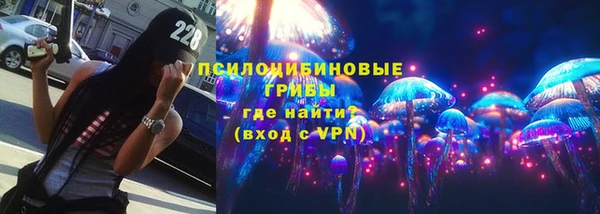 ПСИЛОЦИБИНОВЫЕ ГРИБЫ Алексин
