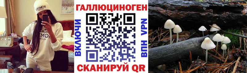 продажа наркотиков  shop наркотические препараты  Псилоцибиновые грибы GOLDEN TEACHER  Тейково 