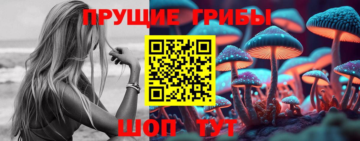 Галлюциногенные грибы Psilocybe Тейково