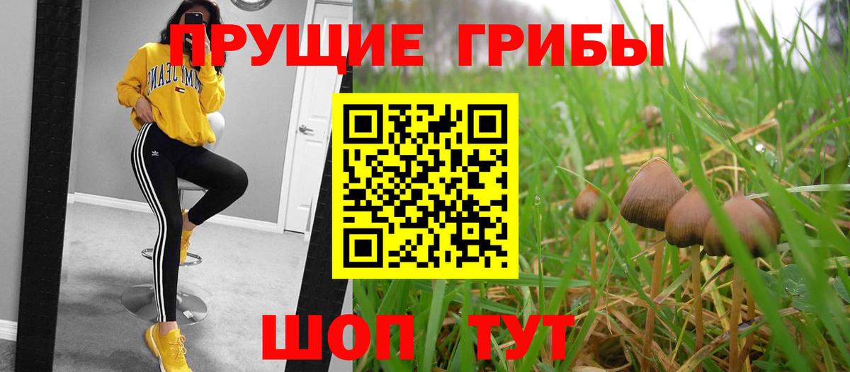Тейково  где купить наркотик  Вход с VPN  Псилоцибиновые грибы Cubensis 